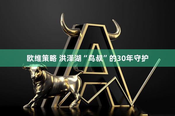 欧维策略 洪泽湖“鸟叔”的30年守护