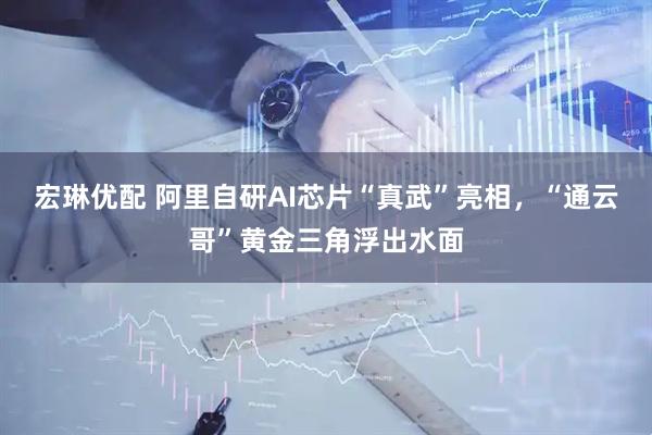 宏琳优配 阿里自研AI芯片“真武”亮相，“通云哥”黄金三角浮出水面