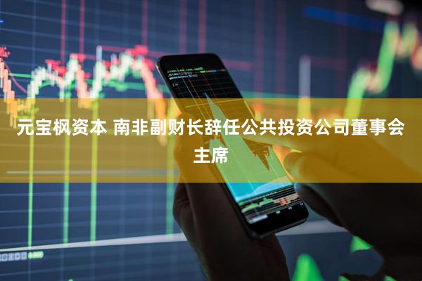 元宝枫资本 南非副财长辞任公共投资公司董事会主席